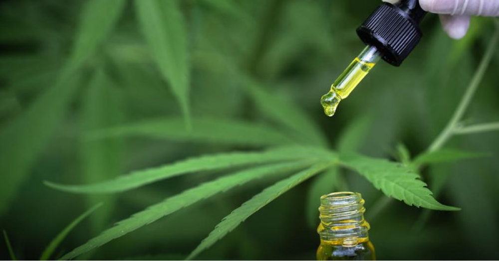 A HISTÓRIA E AS LEIS QUE LIBERARAM O USO MEDICINAL DE CANNABIS NO BRASIL